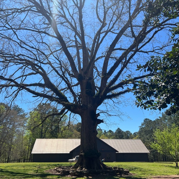 Meet your Posher, Caron - Picture 4 of 16